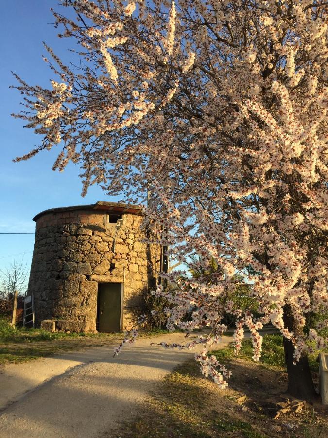 Moinho De Vento Villa Castelo Branco  Kültér fotó