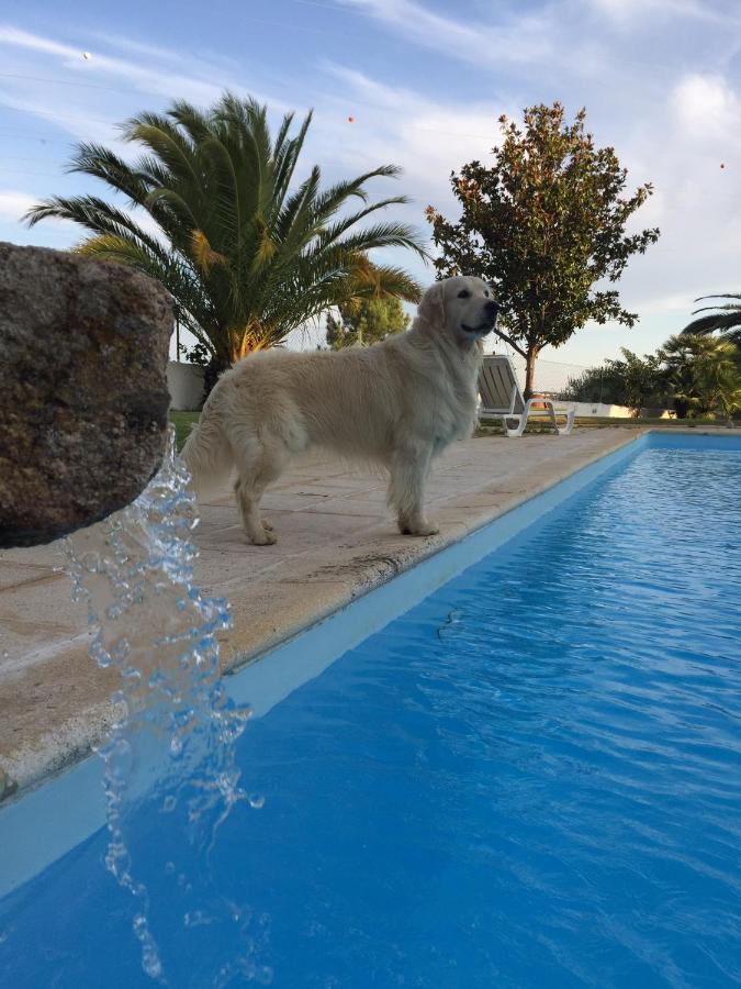 Moinho De Vento Villa Castelo Branco  Kültér fotó